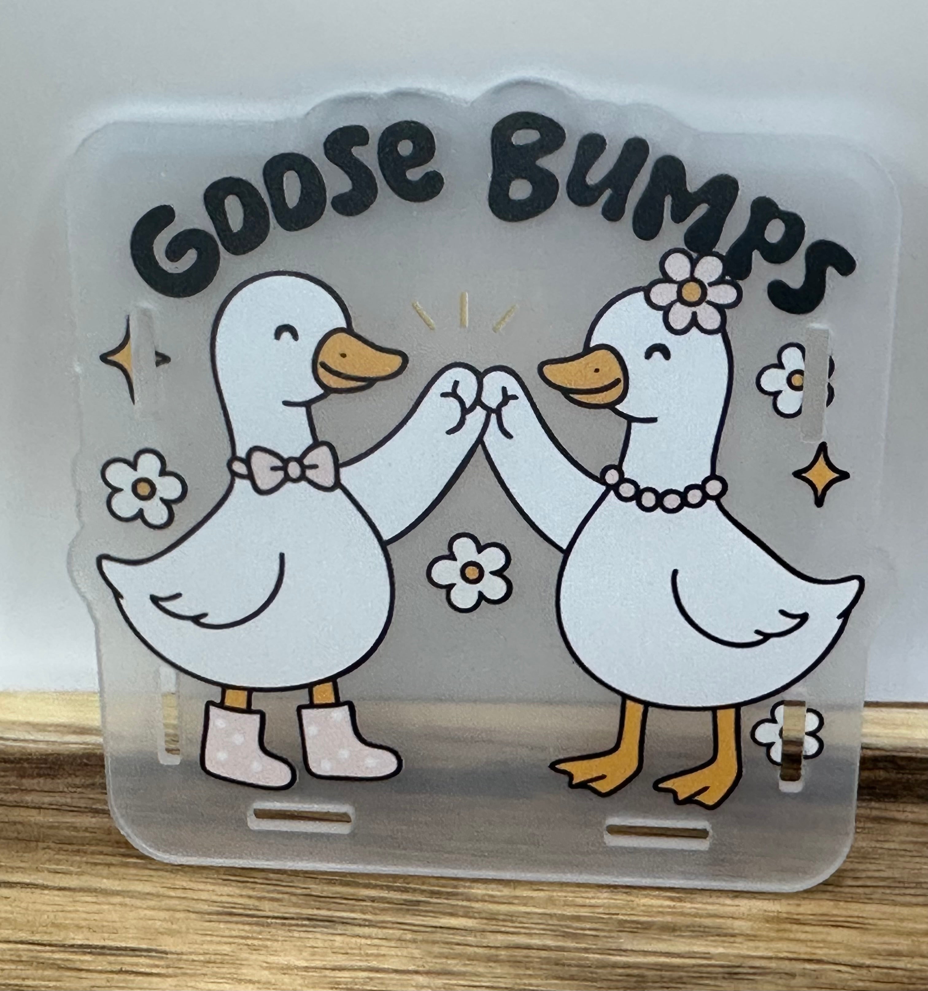 Goose Bumps pen/anything holder
