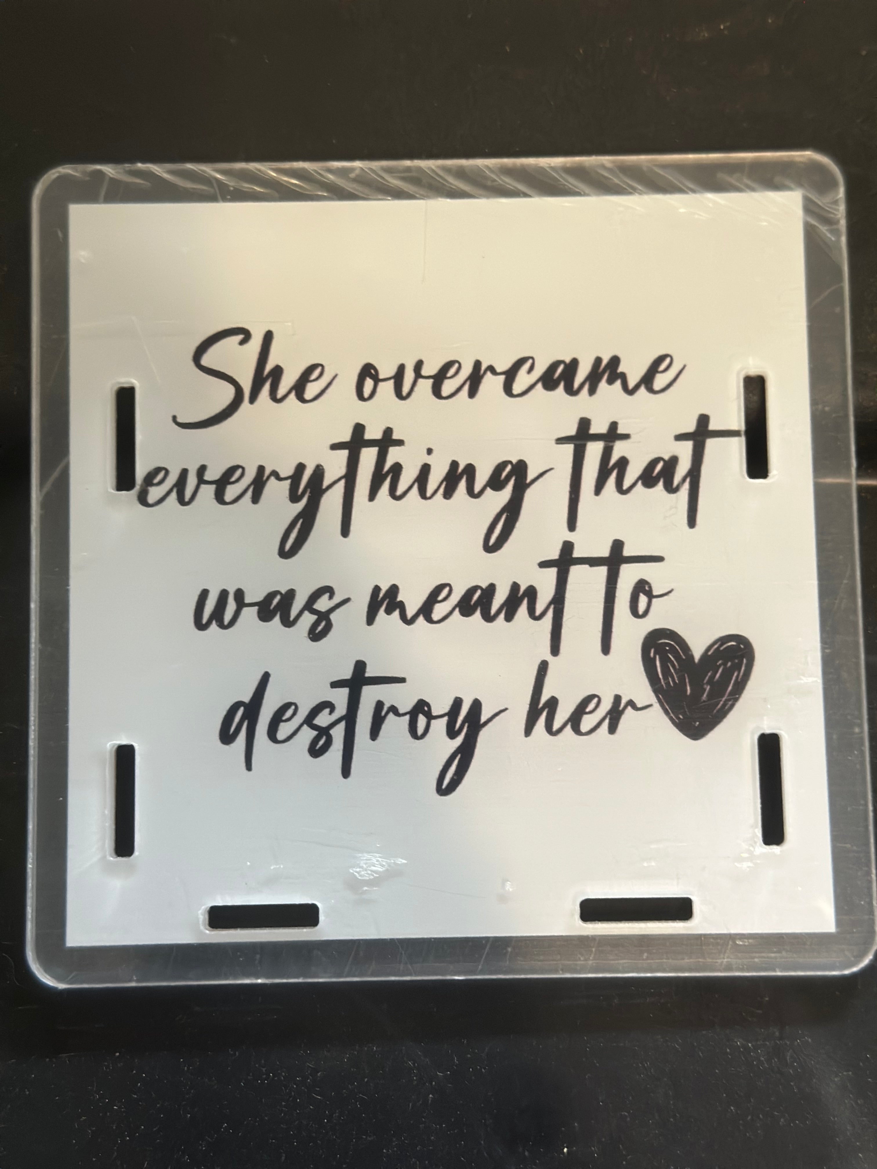 She overcame everything pen holder/anything holder