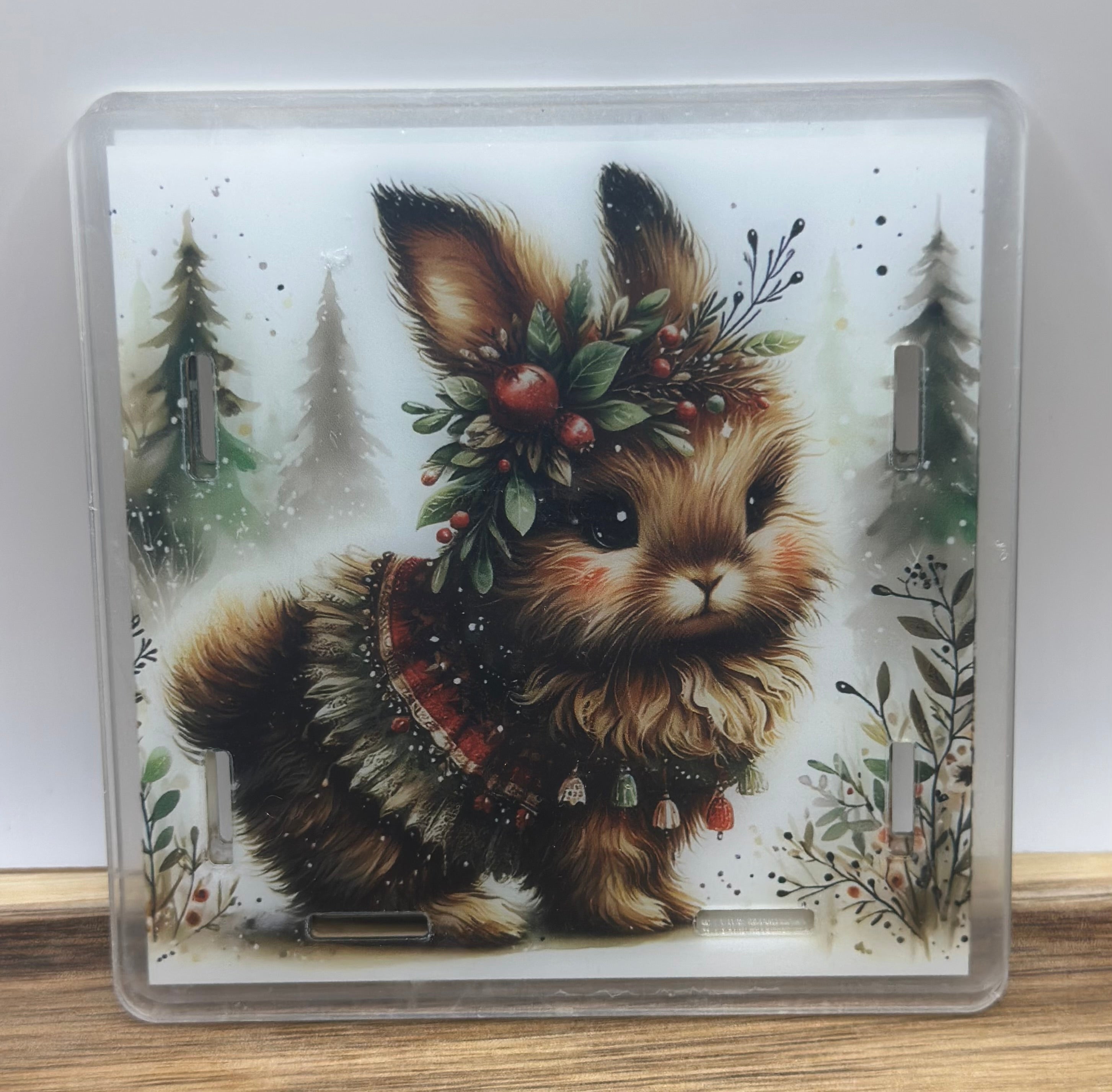 Winter Bunny pen/anything holder